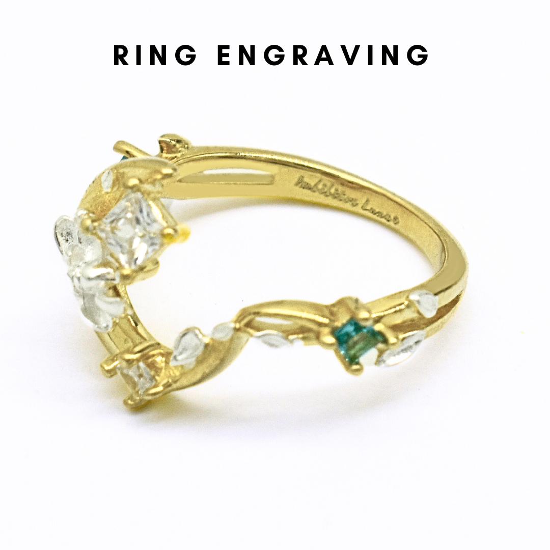 Imbibitor Lunae - Honkai Star Rail Jewelry